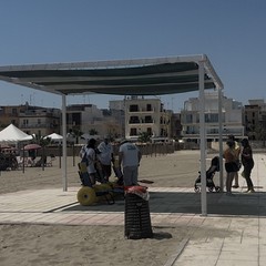 “Mare senza Barriere”: parte oggi a Margherita di Savoia il progetto per la fruizione delle spiagge libere