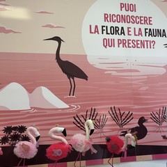 Inaugurato il nuovo Centro Visite della Salina di Margherita di Savoia