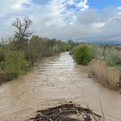 Fiume Ofanto in piena: esondazioni diffuse, sommersi i terreni circostanti