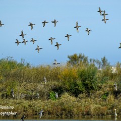 Valorizzare l’ecosistema e la biodiversità: Margherita celebra la Giornata Mondiale delle Zone Umide