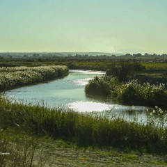 Valorizzare l’ecosistema e la biodiversità: Margherita celebra la Giornata Mondiale delle Zone Umide