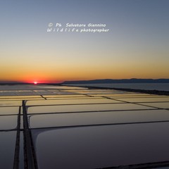 Valorizzare l’ecosistema e la biodiversità: Margherita celebra la Giornata Mondiale delle Zone Umide