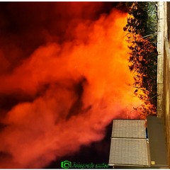 Incendio nelle campagne a Margherita di Savoia: fiamme a ridosso delle villette di Isolaverde
