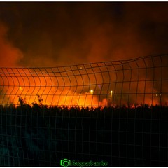 Incendio nelle campagne a Margherita di Savoia: fiamme a ridosso delle villette di Isolaverde