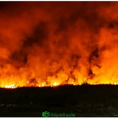 Incendio nelle campagne a Margherita di Savoia: fiamme a ridosso delle villette di Isolaverde