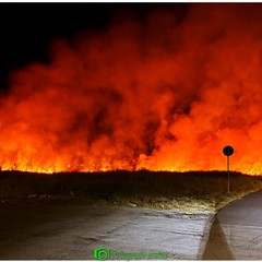 Incendio nelle campagne a Margherita di Savoia: fiamme a ridosso delle villette di Isolaverde