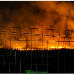 Incendio nelle campagne a Margherita di Savoia: fiamme a ridosso delle villette di Isolaverde