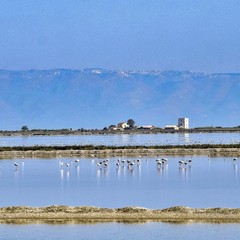 Urban Nature: la natura si fa spazio a Margherita di Savoia