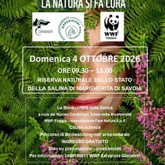 Urban Nature: la natura si fa spazio a Margherita di Savoia