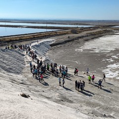 Sport e benessere condiviso: grande successo a Margherita per la “Camminata in Salina”