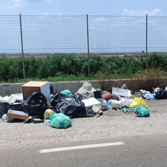 Strada provinciale per Zapponeta e verso Margherita con le piazzole di sosta invase dai rifiuti