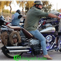 Raduno dei Bikers a Margherita di Savoia un giro tra natura, cultura e tradizioni