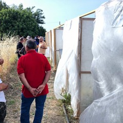 VISITE CAMPO JPG