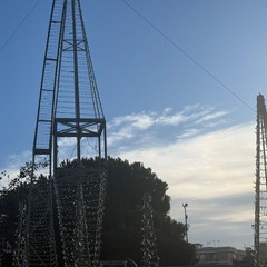 Allestimento stella di natale