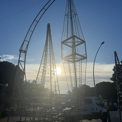 Allestimento stella di natale