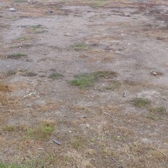 L’area sgambatoio per cani