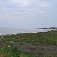 Grande successo a Margherita di Savoia per la “Giornata Regionale della Costa”
