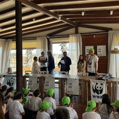 Clean-up e riciclo: grande successo a Margherita per l'evento "Love the sea. Keep it blue"