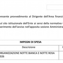 Movimento "Margherita 2028": «I nostri commercianti abbandonati, l'amministrazione Lodispoto affossa la città»
