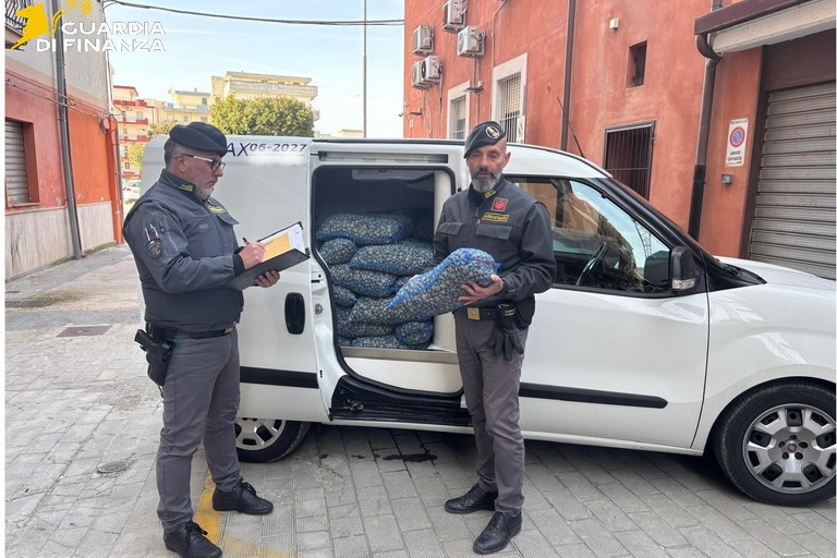 Maxi sequestro di molluschi