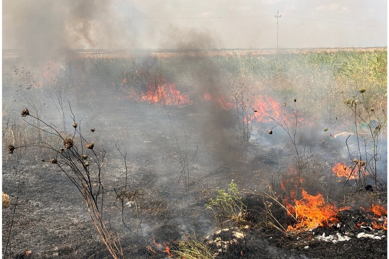 A Margherita di Savoia continua l'emergenza incendi. <span>Foto Fotografoamico</span>