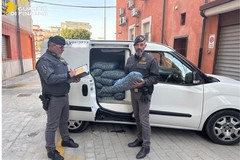 Maxi sequestro di molluschi senza tracciabilità a Margherita