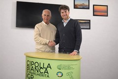 Giuseppe Giacomantonio è il nuovo presidente del Consorzio a della Cipolla Bianca di Margherita Igp