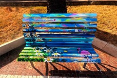 Le Saline di Margherita sulle panchine della città: il progetto dell’artista Daniela Carolina Piunti
