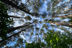 La festa della natura in città: a Margherita di Savoia l'iniziativa del WWF