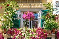 Un concorso premia i balconi fioriti più belli di Margherita di Savoia
