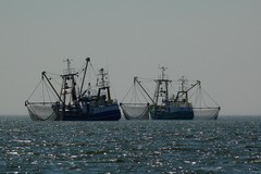 Tre milioni di euro dalla Regione per il sostegno al comparto pesca