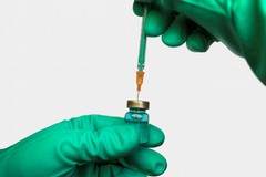 Vaccino Novavax, open day nella Asl Bt