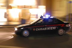 Sequestrata vasta piantagione di marijuana dai Carabinieri