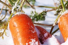 Esplodono i prezzi di frutta e verdura a causa della neve