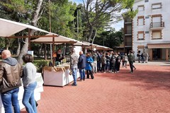 “Percorsi sensoriali della tradizione murgiana”, nel weekend l'evento ad Andria