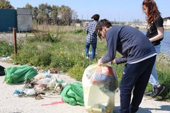 Gruppo di amici pulisce un'area del porto dai rifiuti