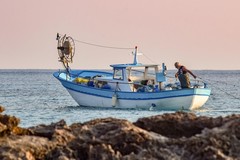 Emergenza pesca, Forza Italia: «Il Governo sta lavorando ma la Regione latita»