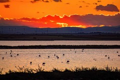 Le Saline di Margherita di Savoia protagoniste nello Zimbabwe