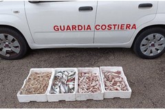 Sequestrati 170 kg di vongole pescati vicino al litorale di Margherita di Savoia