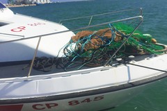 Risorse UE per la pesca, Ventola: «Regione sotto organico, rischiamo di perdere i finanziamenti»
