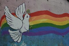 Le parrocchie di Margherita di Savoia si uniscono per la pace