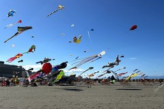 In migliaia a Margherita di Savoia per il Festival internazionale dell’Aquilone