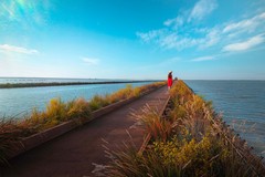 "Salpi Nuovo”: il progetto di valorizzazione delle saline dell'architetto Massimiliano Cafagna