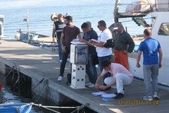 Sequestrati 200 kg di prodotti ittici dalla Capitaneria di Porto di Barletta