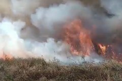 Grande incendio nei pressi della sp5 tra Margherita di Savoia e Barletta