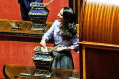 Licia Ronzulli eletta vicepresidente del Senato