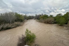 Fiume Ofanto in piena: esondazioni diffuse, sommersi i terreni circostanti - FOTO