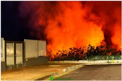 Incendio nelle campagne a Margherita di Savoia: fiamme a ridosso delle villette di Isolaverde - FOTO