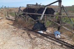 Torre Pietra: a Margherita l'estate è al termine e i rifiuti aumentano