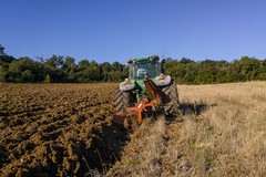Riglietti: «Alle aziende agricole della Bat non piace la rete del lavoro agricolo di qualità»
